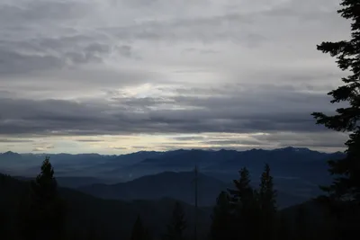 DSC_0074 (Large).JPG